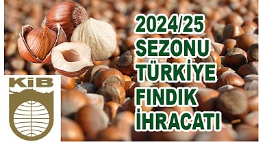 2024/2025 Sezonu Fındık İhracatında Yükseliş