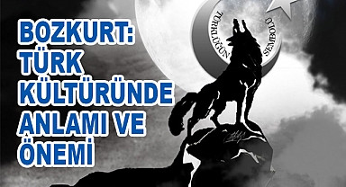 Bozkurt: Türk Kültüründe Anlamı ve Önemi