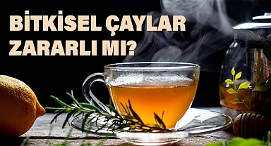 Kış Çayları Tehlike mi Saçıyor? Uzmanlar Ne Diyor?
