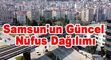 Samsun'un Güncel Nüfus Dağılımı ve İlçelere Göre Detaylı Nüfus Bilgileri