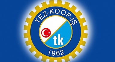 Tez-Koop-İş Sendikası'nın Tarihi ve Gelişimi