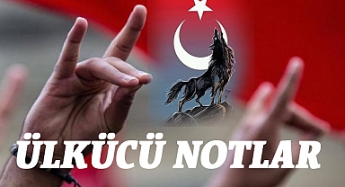 Ülkücü Notlar