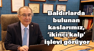 Baldırlar 'ikinci kalp' işlevi görüyor