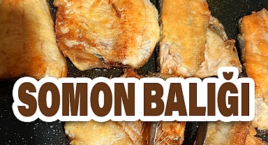 Somon Balığı Hakkında Merak Edilenler