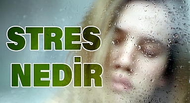 Stres Nedir? Neden Olur ve Nasıl Baş Edilir? Uzman Görüşleri