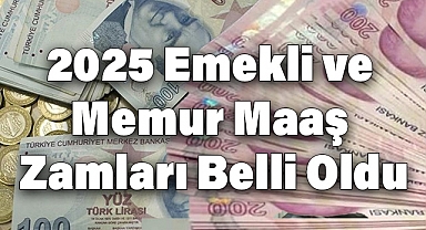 2025 Emekli Maaş Zammı Ne Kadar Oldu? En Düşük Emekli Maaşı Kaç TL?