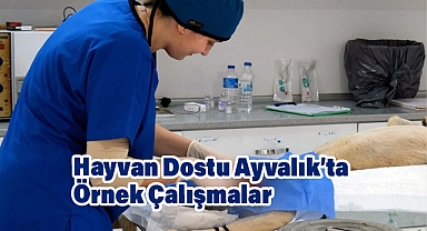 Ayvalık Belediyesi Can Dostların Yanında