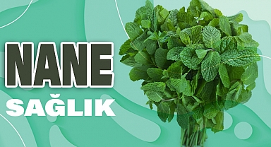 Nane Nedir? Nerede Yetişir ve Sağlık Açısından Faydaları Nelerdir?