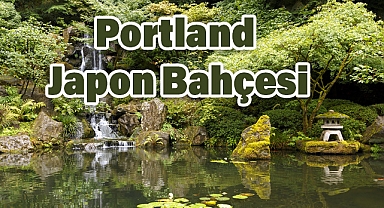 Portland Japon Bahçesi: Doğanın Sakinliğinde Bir Japon Kültürü Deneyimi