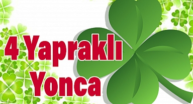 4 Yapraklı Yonca: Gerçekten Şans Getiriyor mu?