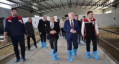 Aliağa’da Damızlık Koç Dağıtım Töreni!