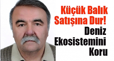 Küçük Balık Satışına Dur, Deniz Ekosistemini Koru