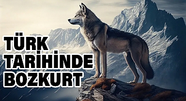 Türk Tarihinde Bozkurt'un Yeri ve Önemi