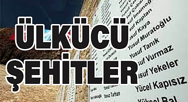 Ülkücü Şehitler: Vatan Uğruna Can Veren Kahramanlar
