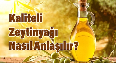 Zeytinyağı Çeşitleri ve Alırken Dikkat Edilmesi Gerekenler