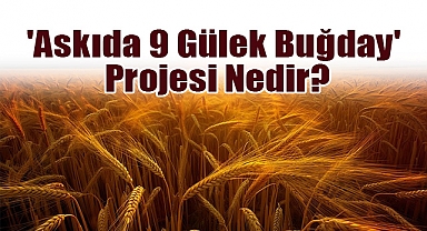 'Askıda 9 Gülek Buğday' Projesi Nedir?
