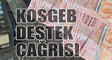 KOBİ'lere Geri Ödemesiz Destek Fırsatı
