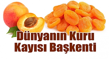 Malatya Kayısısı: Dünyanın Kuru Kayısı Başkenti
