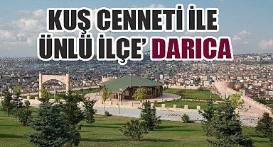 Marmara’nın Gözdesi Kuş Cenneti Darıca