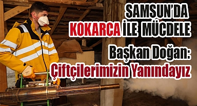 Samsun Büyükşehir’den Kahverengi Kokarca ile Yoğun Mücadele