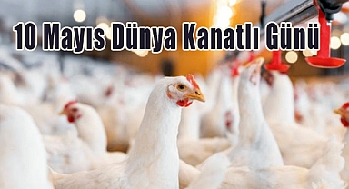 10 Mayıs Dünya Kanatlı Günü