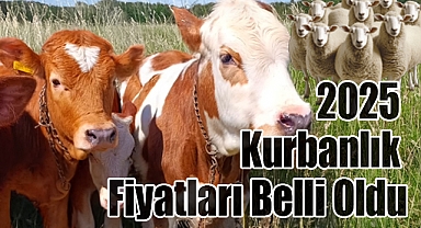 2025 Kurbanlık Fiyatları Belli Oldu: İşte Büyükbaş ve Küçükbaş Aralıkları