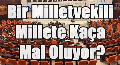 Bir Milletvekili Millete Kaça Mal Oluyor?