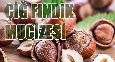 Çiğ Fındığın Gücü: En Doğal Haliyle Vücuda Şifa Saçıyor