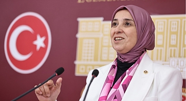 Çocuk Hareketi Meclis’te Güç Kazanıyor: Bütçede Çocuğun Adı ve Koruyucu Ev Ziyaretleri