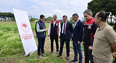 İzmir’de Kuşkonmaz Üretimi Yükselişte: 17 Bin Fide Üreticilere Teslim Edildi