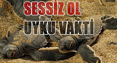 Kaplumbağalar İçin Sessizlik Vakti