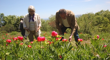 Manisa Büyükşehir Belediyesi’nden Gördes’e Turizm ve Kültür Çıkarması