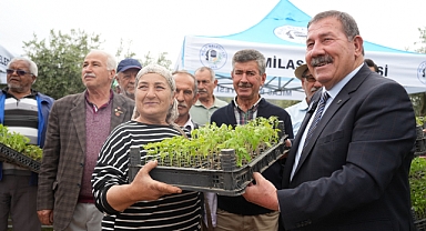 Milas Belediyesi'nden 300 Üreticiye Ata Tohumu Fide Desteği