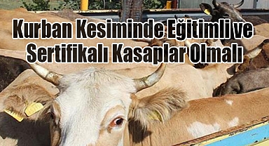 TESK Başkanı Palandöken: Kurban Kesiminde Profesyonellik ve Hijyen Şart