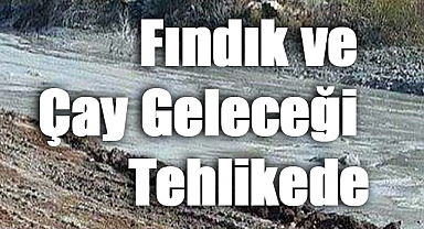 Harşit’in Çığlığı: Giresun’da Doğa ve Tarih Alarm Veriyor