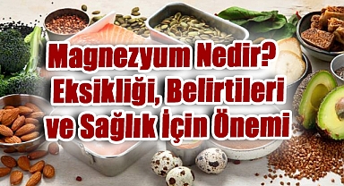 Magnezyum Nedir? Eksikliği, Belirtileri ve Sağlık İçin Önemi