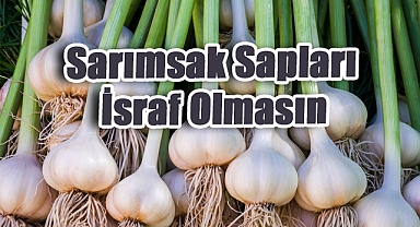 Sarımsak Sapları İsraf Olmasın, Sofraya Lezzet Olsun
