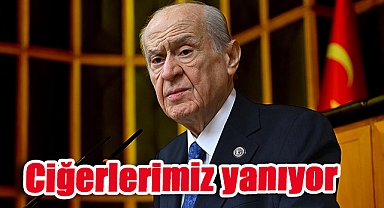 Devlet Bahçeli’den orman yangınlarında şehit olanlar için taziye mesajı
