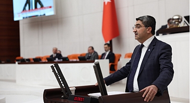Ekmen: Yangınlar sadece doğayı değil, toplumsal yapıyı da yakıyor
