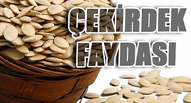 Kabak çekirdeği: Avuç avuç sağlık dağıtan mucize
