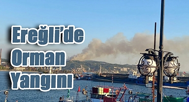 Karadeniz Ereğli’de Orman Yangını: Alevler Kısa Sürede Yayıldı