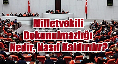 Milletvekili Dokunulmazlığı Nedir, Nasıl Kaldırılır? Süreçte Hangi Adımlar İzleniyor?