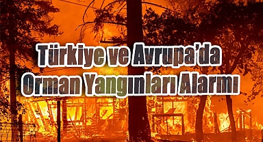 Türkiye ve Avrupa’da Orman Yangınları Alarmı