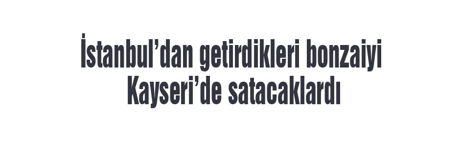 Kayseri’de bonzai satacaklardı