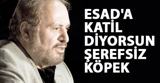 Haydar Baş, Esad'a katil diyene küfretti