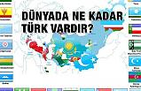 Dünyada Türkler