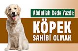 Köpek Sahibi Olmak
