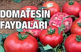 Domatesin Faydaları Nedir? (Tütün Kullananlar Dikkat)