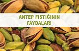 Antep fıstığının faydaları nelerdir?