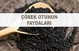 Çörek otunun faydaları nelerdir?